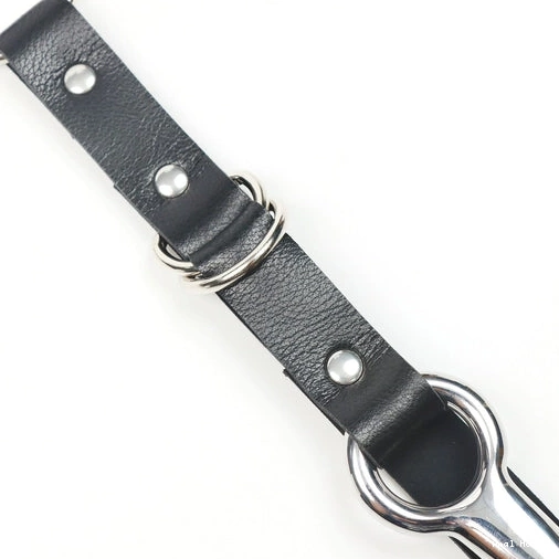 Anal Hooks and Leash Anal EverydayUse Hook Kinky 5853 with Collar 0205